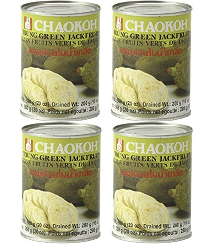 4x Jackfrucht in Wasser fleischersatz vegetarisch vegan grüne jackbaumfrucht 4x 560g jack fruit nangka von bick.shop