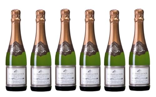 6x 0,375l - 2020er - Chapin & Landais - Le Grand Saumur - brut - halbe - Saumur A.O.P. - Loire - Frankreich - Schaumwein brut 6x 0,375l - 2020er - Chapin & Landais - Le Grand Saumur - brut - halbe - Saumur A.O.P. - Loire - Frankreich - Schaumwein brut von Chapin & Landais