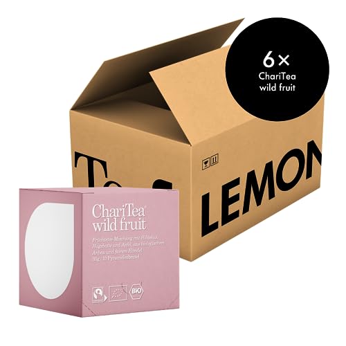 ChariTea Wild Fruit in Pyramiden Beutel - 10 Teebeutel je Packung - Bio Früchtetee mit Hibiskus, Hagebuttenschalen, Apfel, etc. - Fair Trade, Vegan (6 Packungen) von ChariTea