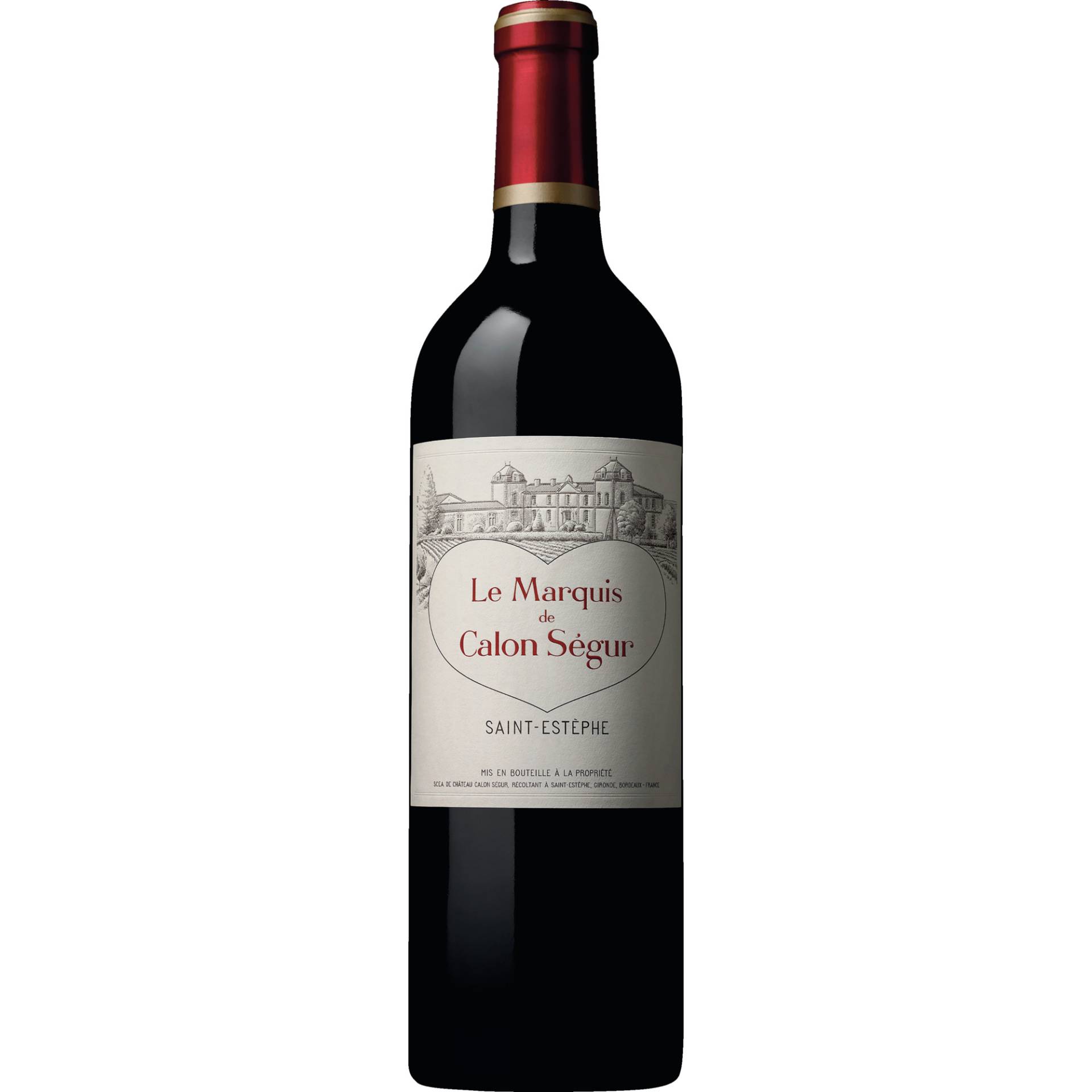 Le Marquis de Calon Ségur, Saint-Estèphe AOP, Magnum, Bordeaux, 2022, Rotwein Le Marquis de Calon Ségur, Saint-Estèphe AOP, Magnum, Bordeaux, 2022, Rotwein von Château Calon Sègur, 33180 Saint-Estèphe, France