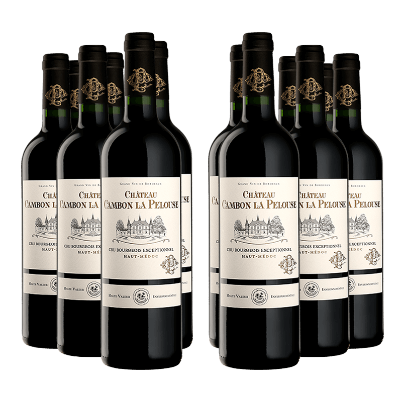 Château Cambon la Pelouse 2019 von Château Cambon la Pelouse