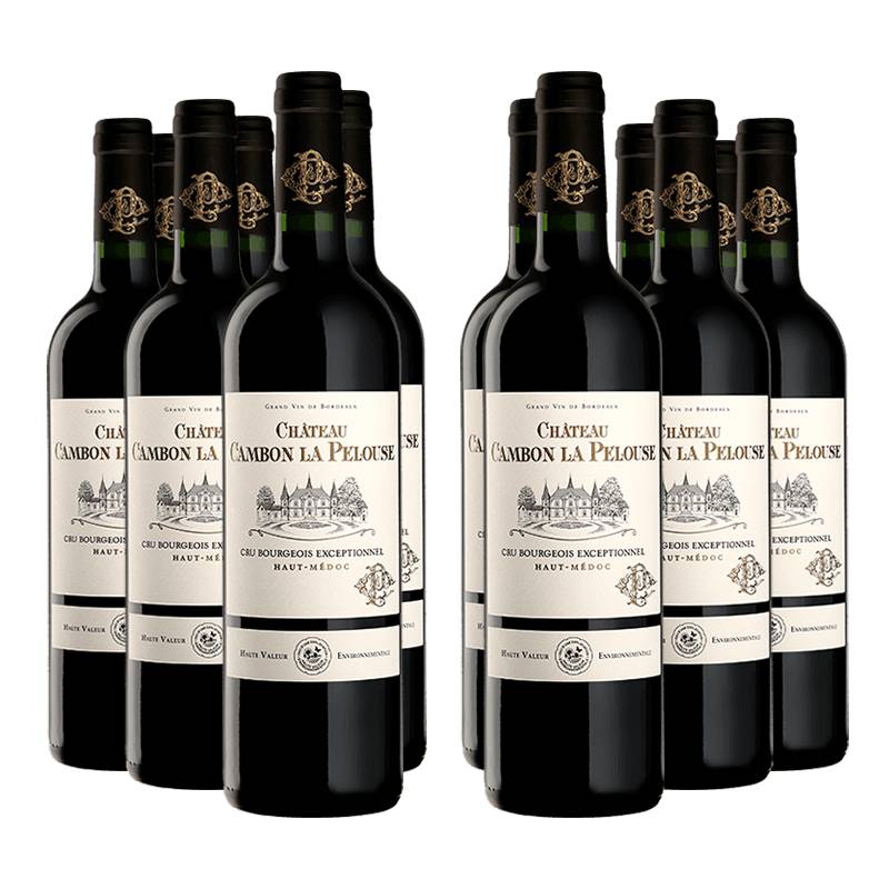 Château Cambon la Pelouse 2019 von Château Cambon la Pelouse