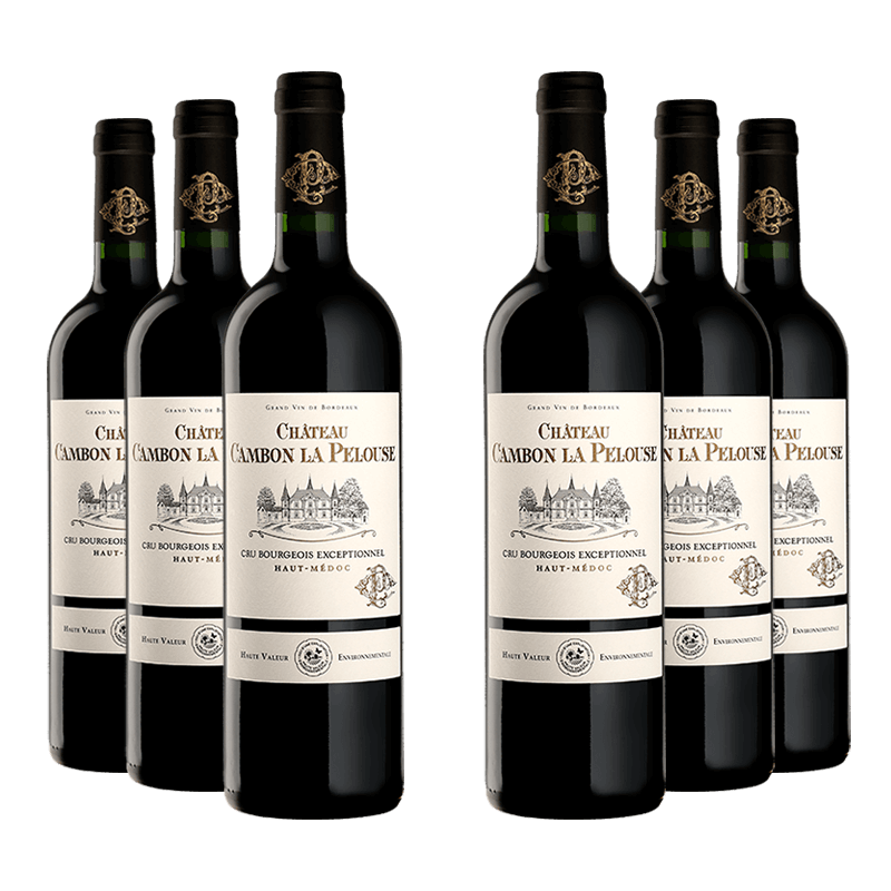 Château Cambon la Pelouse 2019 Château Cambon la Pelouse 2019 von Château Cambon la Pelouse