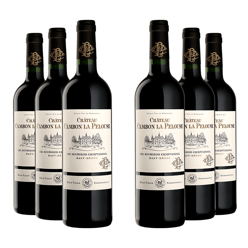 Château Cambon la Pelouse 2019 von Château Cambon la Pelouse