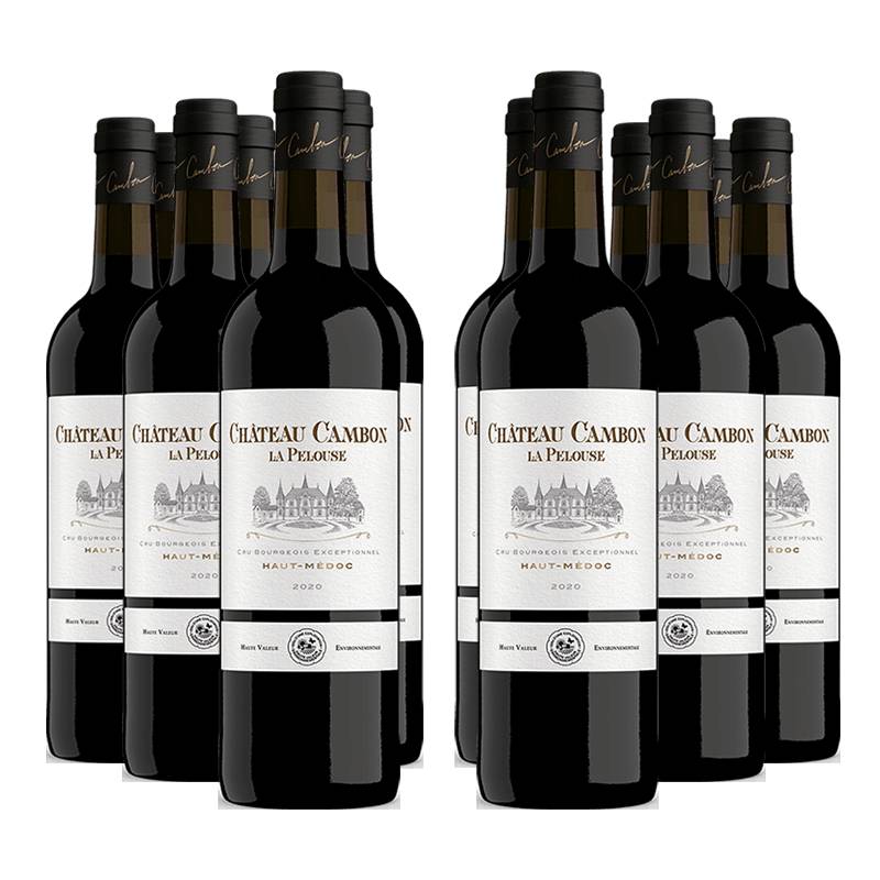 Château Cambon la Pelouse 2020 von Château Cambon la Pelouse