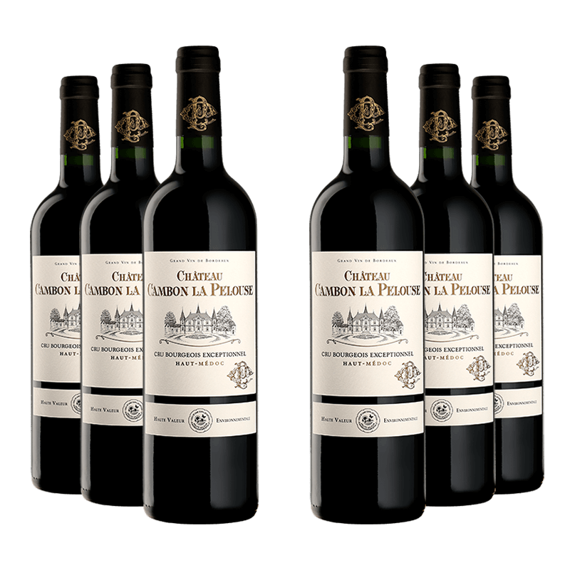 Château Cambon la Pelouse 2023 Château Cambon la Pelouse 2023 von Château Cambon la Pelouse