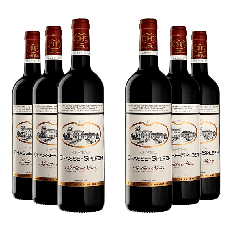 Château Chasse-Spleen 2020 Château Chasse-Spleen 2020 von Château Chasse-Spleen