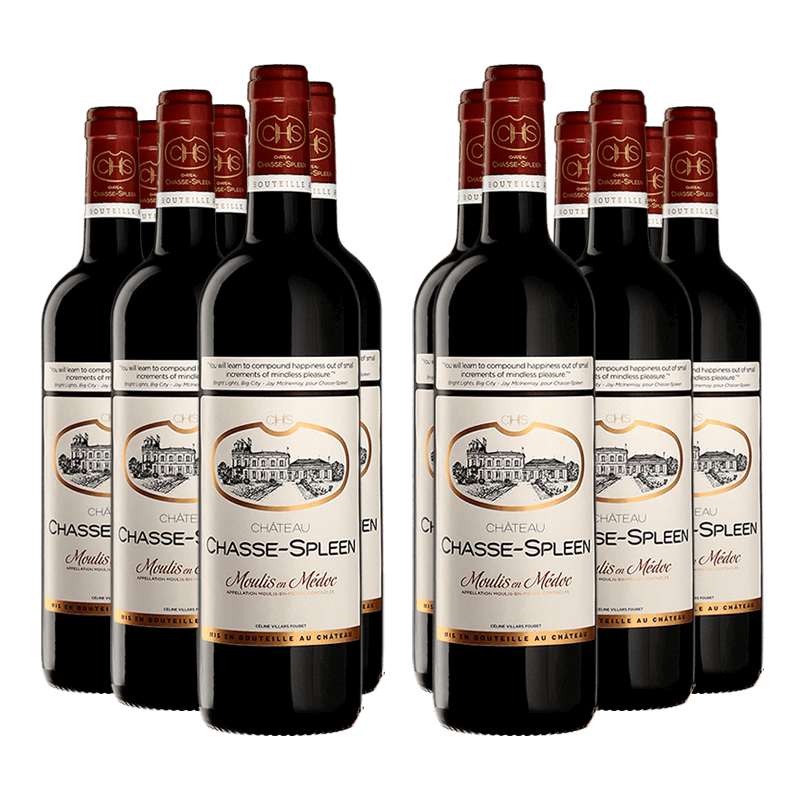 Château Chasse-Spleen 2020 Château Chasse-Spleen 2020 von Château Chasse-Spleen