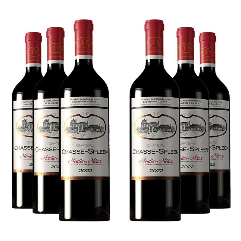 Château Chasse-Spleen 2022 Château Chasse-Spleen 2022 von Château Chasse-Spleen