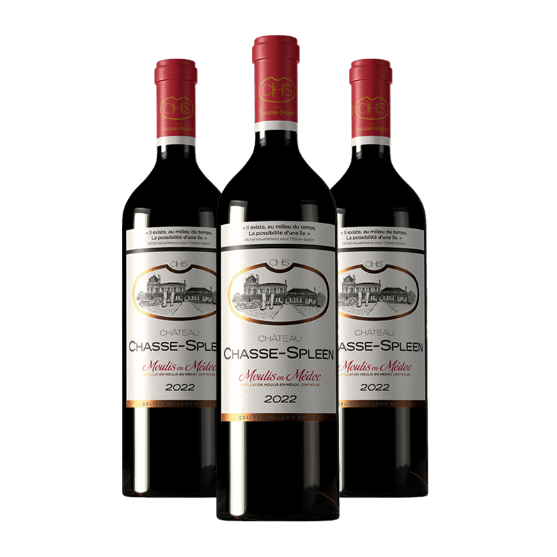 Château Chasse-Spleen 2022 Château Chasse-Spleen 2022 von Château Chasse-Spleen