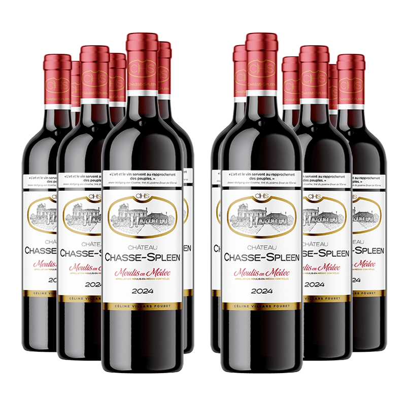 Château Chasse-Spleen 2024 Château Chasse-Spleen 2024 von Château Chasse-Spleen