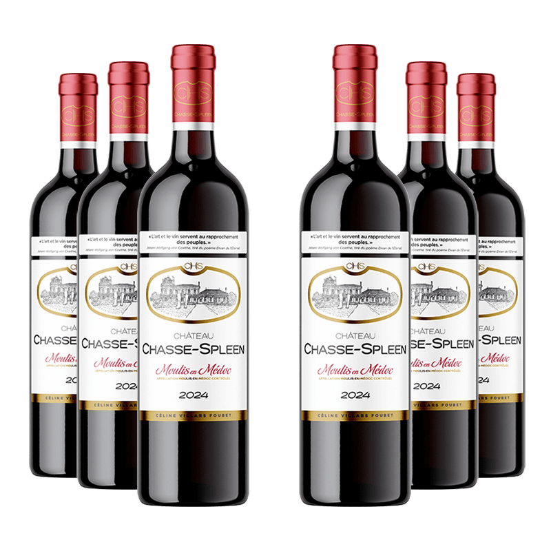 Château Chasse-Spleen 2024 Château Chasse-Spleen 2024 von Château Chasse-Spleen
