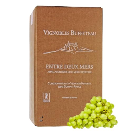 Château La Grande Métairie - AOC Bordeaux Entre Deux Mers - Weißwein trocken Bag in Box 5l Karton mit Zapfhahn - Trockener Weißwein Frankreich vom Winzer von Château La Grande Métairie