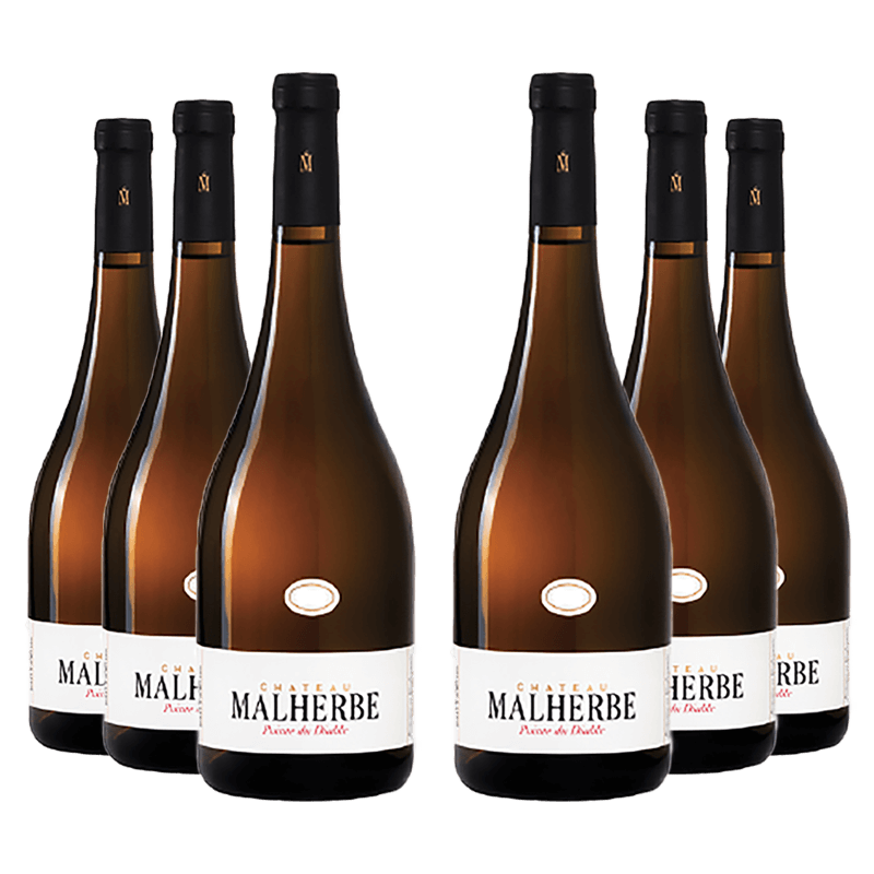 Château Malherbe : Pointe du Diable Blanc 2023 Château Malherbe : Pointe du Diable Blanc 2023 von Château Malherbe
