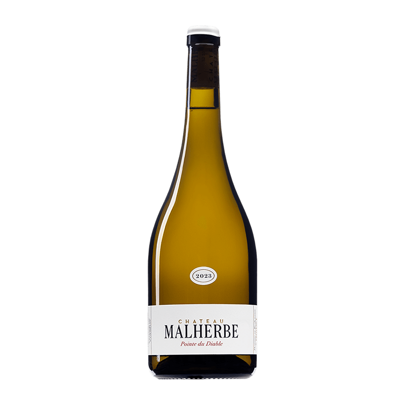 Château Malherbe : Pointe du Diable Blanc 2023 Château Malherbe : Pointe du Diable Blanc 2023 von Château Malherbe