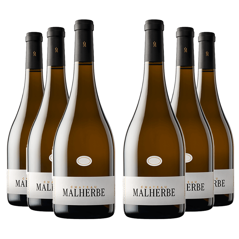 Château Malherbe Blanc 2021 Château Malherbe Blanc 2021 von Château Malherbe