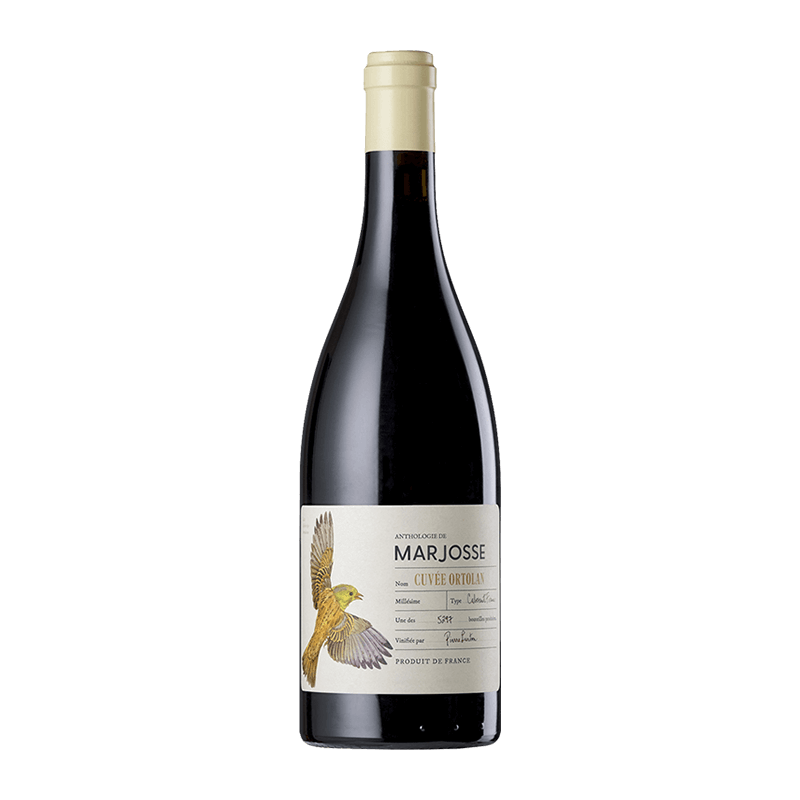 Château Marjosse : Anthologie de Marjosse Cuvée Ortolan 2018 Château Marjosse : Anthologie de Marjosse Cuvée Ortolan 2018 von Château Marjosse
