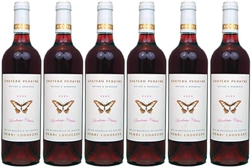 Château PERAYNE Roséwein Bordeaux Clairet Frankreich trocken 2021 (6 x 0,75 l) von Château PERAYNE