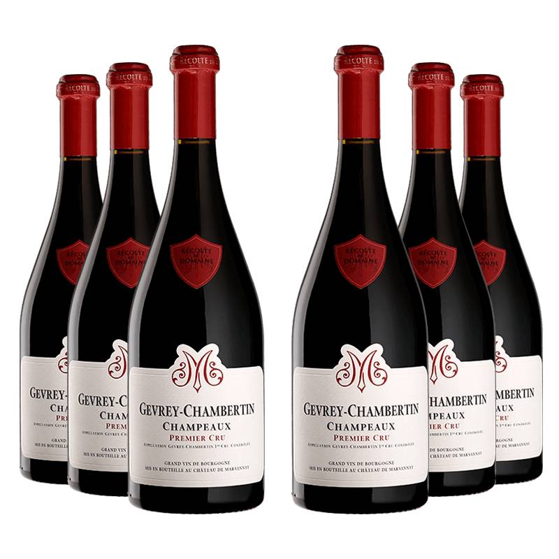 Château de Marsannay : Gevrey-Chambertin 1er cru "Champeaux" 2020 von Château de Marsannay