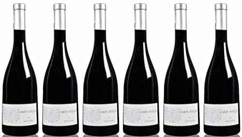 6-er Set Rotwein „Carpe Horam Rouge“, trocken, IGP Méditérranée/Frankreich, 0,75 L * 6 von Château de Saint-Martin