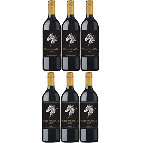 Cheval d'Or Merlot Liter Rotwein Wein trocken Frankreich I Visando Paket (6 Flaschen) von Cheval d’Or