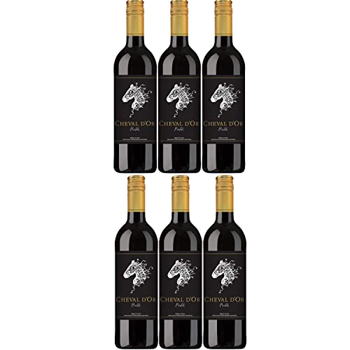 Cheval d'Or Merlot Rotwein Wein trocken Frankreich I Visando Paket (6 Flaschen) von Cheval d’Or