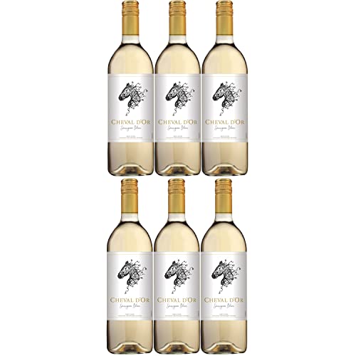 Cheval d'Or Sauvignon Blanc Liter Weißwein Wein trocken Frankreich I Visando Paket (6 Flaschen) von Cheval d’Or
