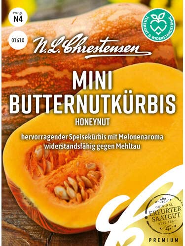 Butternutkürbis Honeynut Samen Packungsgröße N4, Portion Saatgut Butternutkürbis Honeynut Samen Packungsgröße N4, Portion Saatgut von Chrestensen