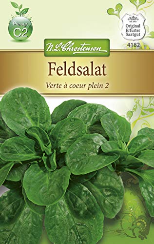 Chrestensen Feldsalat 'Dunkelgrüner vollherziger 2' Chrestensen Feldsalat 'Dunkelgrüner vollherziger 2' von Chrestensen