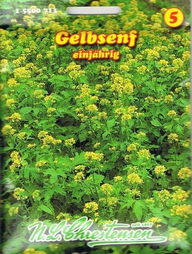 Chrestensen Gelbsenf Senf Gründünger Chrestensen Gelbsenf Senf Gründünger von Chrestensen
