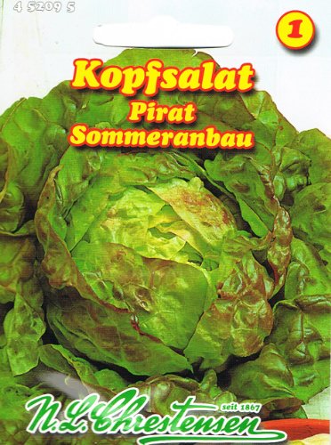 Kopfsalat Pirat Sommeranbau Kopfsalat Pirat Sommeranbau von Chrestensen