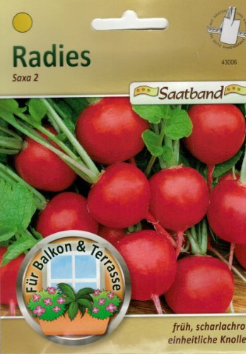 Radies Saxa 2 Saatband für Balkon & Terrasse früh scharlachrot 43006 Radies Saxa 2 Saatband für Balkon & Terrasse früh scharlachrot 43006 von Chrestensen