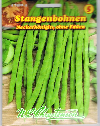 Stangenbohnen Neckarkönigin, ohne Fäden Stangenbohnen Neckarkönigin, ohne Fäden von Chrestensen