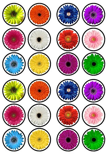 Gerbera Flower Edible PREMIUM THICKNESS SWEETENED VANILLA, Wafer Rice Paper Cupcake Toppers/Decorations by Cian's Cupcake Toppers Ltd von Cian's Cupcake Toppers Ltd