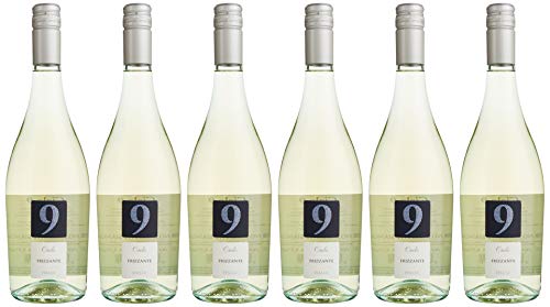 Cielo e Terra 9 degree Bianco NV Halbtrocken, (6 x 0.75 l) von Cielo e Terra
