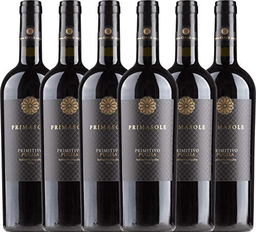 VINELLO 6er Weinpaket Primitivo - Primasole Primitivo 2019 - Cielo e Terra mit einem VINELLO.weinausgießer | trockener Rotwein | italienischer Rotwein aus Apulien | 6 x 0,75 Liter von Cielo e Terra