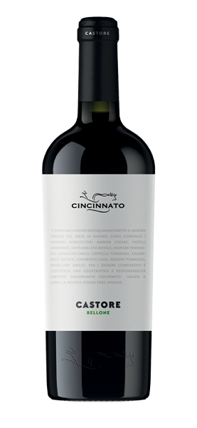 "Castore" Bellone Lazio IGT 2024 von Cincinnato