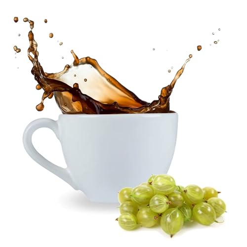 Cinesso Kaffee gemahlen Kaffeepulver, mit verschiedenen Geschmacksrichtungen, fruchtige Varianten, schnelle und einfache Zubereitung, für Kaffeeliebhaber (500 g, Stachelbeere) von Cinesso