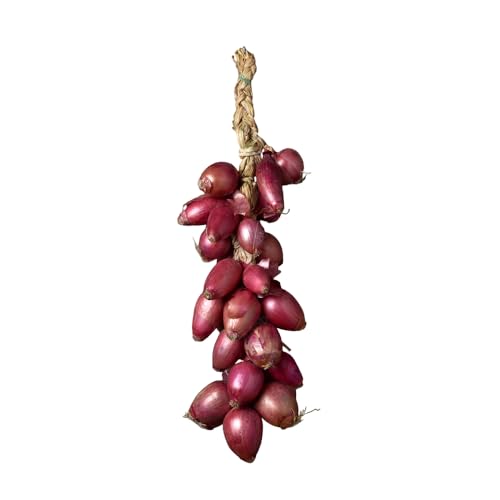 Zwiebeln von Tropea Kg. 2,5 - Angebot 5 Kg Zwiebeln von Tropea Kg. 2,5 - Angebot 5 Kg von Cipolle di Tropea