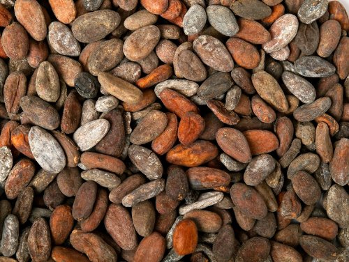 Geröstete Kakaobohnen Afrikamischung (1000g) von Classic Caffee