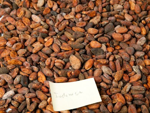 Geröstete Kakaobohnen aus Indonesien (250g) von Classic Caffee