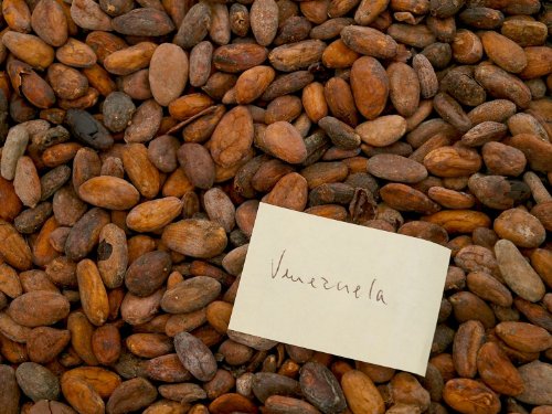 Geröstete Kakaobohnen aus Venezuela (1000g) von Classic Caffee