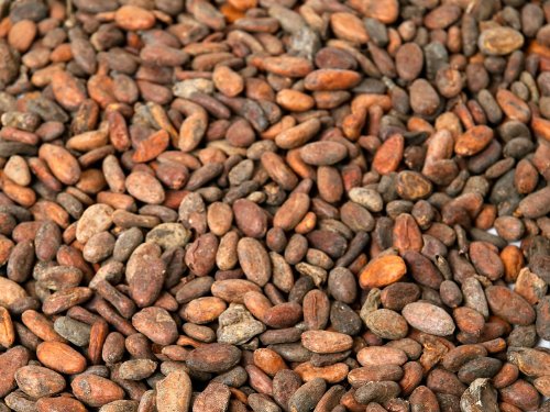 Geröstete Kakaobohnen von der Elfenbeinküste (500g) von Classic Caffee