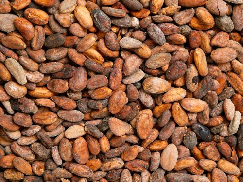 Kakaobohnen geröstet (500g) von Classic Caffee