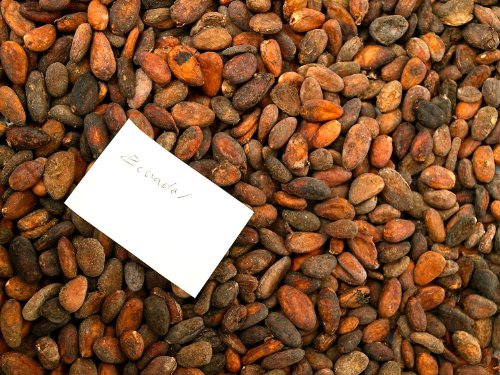 Rohe Kakaobohnen aus Ecuador (1000g) von Classic Caffee