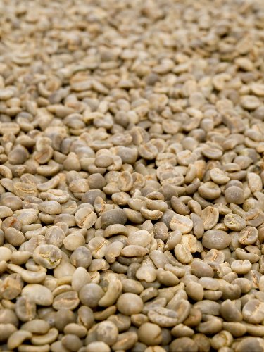 Rohkaffee - El Salvador (250g) von Classic Caffee