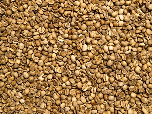 Rohkaffee - India Robusta Parchment (250g) von Classic Caffee