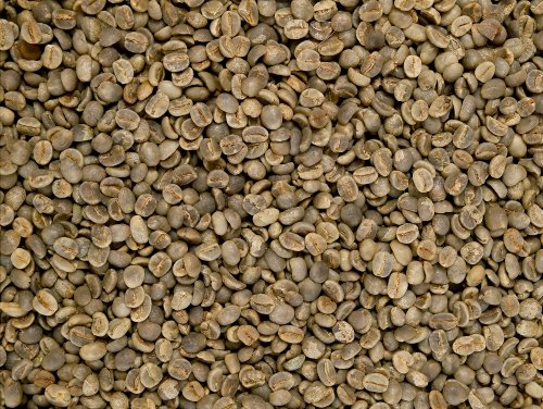 Rohkaffee - Indonesien Sumatra Lintong (1000g) von Classic Caffee