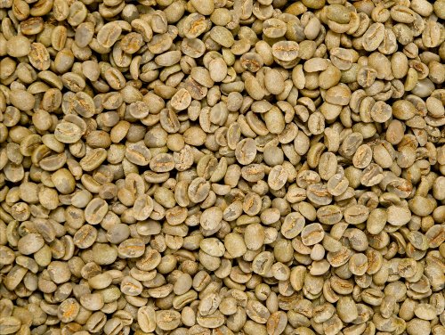 Rohkaffee - Nicaragua Talia Extra AAA (1000g) von Classic Caffee
