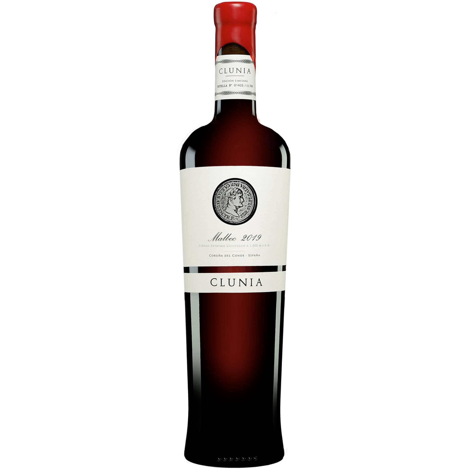 Clunia Malbec 2019  0.75L 14.5% Vol. Rotwein Trocken aus Spanien von Clunia